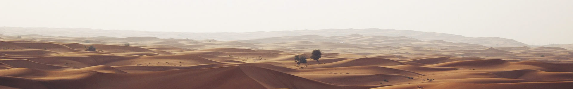 ϵƼ޹˾